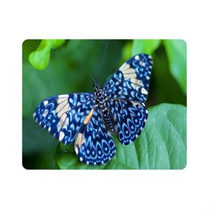 ماوس پد طرح پروانه مدل T8072