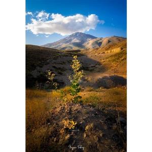 تابلو شاسی مدل منظره کوه دماوند کد 019