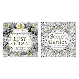 دفتر رنگ آمیزی مدل Lost Secret مجموعه 2 عددی 