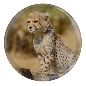 پیکسل مدل S12708 طرح پیروز یوزپلنگ ایران