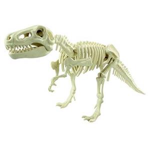حفاری فسیل دایناسور تیرانوزاروس رکس Dig a Dinosaur 