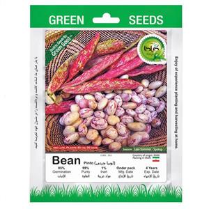 بذر لوبیا چیتی گیلدا کد 253