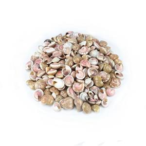 صدف و حلزون تزیینی مدل pink eye بسته 80 گرمی
