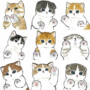 استیکر طرح cute cat مجموعه 9 عددی -