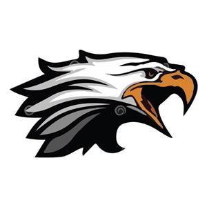 استیکر خودرو پویا مارکت طرح عقاب کد 1148