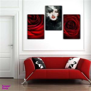تابلو شاسی بکلیت طرح چهره و گل رز قرمز مدل SH-202 مجموعه 3 عددی