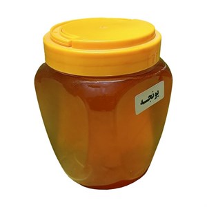 عسل کوهستان فدک - 940 گرم