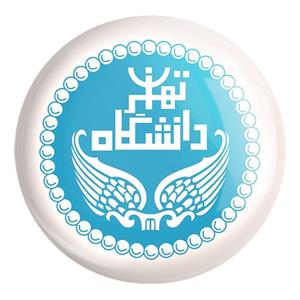 پیکسل خندالو طرح دانشگاه تهران کد 8545 مدل بزرگ