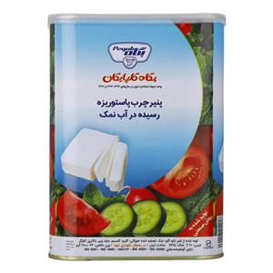 پنیر چرب در آب نمک پگاه گلپایگان - 1600 گرم