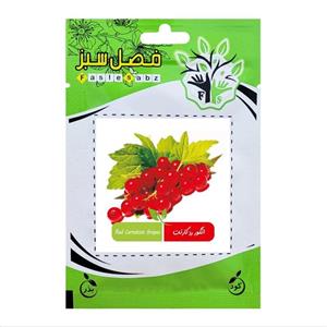 بذر انگور رد کارنت فصل سبز کد FSSEED-31