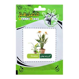 بذر گل پرنده بهشتی فصل سبز کد FSSEED-32