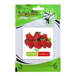 بذر توت فرنگی گاویتا فصل سبز کد FSSEED-034