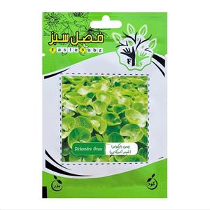 بذر چمن دایکوندرا فصل سبز کد FSSEED-036