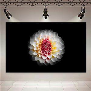 پوستر طرح ماکرو گل مدل White Dahlia Flower کد AR30722 