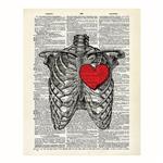 پوستر مدل قلب و استخوان‌ های قفسه سینه