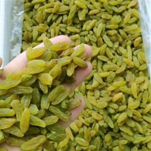 کشمش سبز قلمی ممتاز دارچینا - 100 گرم
