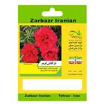 بذر گل ناز آفتابی قرمز زربذر ایرانیان کد ZBP-113 