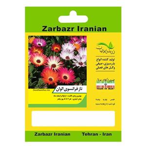 بذر گل ناز فرانسوی الوان زر ایرانیان کد ZBP-115 