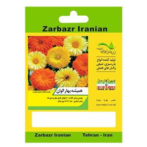 بذر گل همیشه بهار الوان زربذر ایرانیان کد ZBP 117 