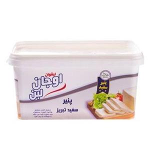 پنیر سفید تبریز 650 گرمی اوجان