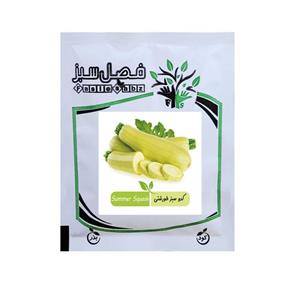 بذر کدو سبز فصل سبز کد FSSEED-100g-23