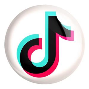 پیکسل بزرگ تیک تاک Tik Tok 