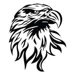 استیکر خودرو پویا مارکت طرح عقاب کد 1389