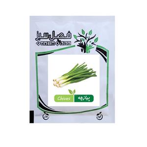 بذر سبزی پیازچه فصل سبز کد SEED-202