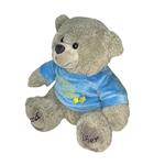 عروسک طرح خرس تدی مدل Pier the Teddy Bear کد SZ13/1088 طول 28 سانتی‌متر