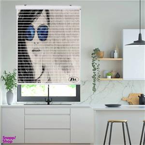 پرده زبرا زیو مدل سیلوئت P-6076 سایز 150x150 سانتی متر