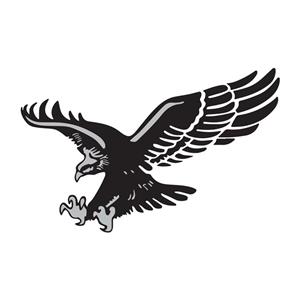 استیکر خودرو پویا مارکت طرح عقاب کد 357