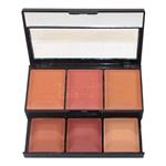 پالت رژگونه دو طبقه C گارنیر (GARINEER dubble blusher C)