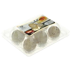 تخم کبک تلاونگ 6 عددی Telavang Quail Egg Pack of 6