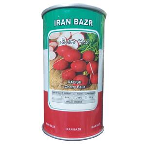 بذر تربچه چری بل ایران بذر کد B50 