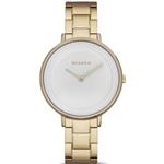 Skagen SKW2330 Watch For Women