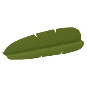 محافظ لبه سینک طرح برگ