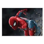 پوستر طرح مرد عنکبوتی Spider Man مدل NV0198