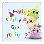 مگنت کاکتی طرح تولد درنا مدل پرندگان خشمگین Angry Birds کد mg58003