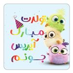 مگنت کاکتی طرح تولد آیریس مدل پرندگان خشمگین Angry Birds کد mg55968