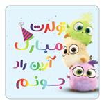 مگنت کاکتی طرح تولد آرین راد مدل پرندگان خشمگین Angry Birds کد mg55653