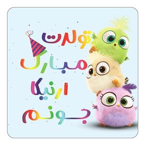 مگنت کاکتی طرح تولد ارنیکا مدل پرندگان خشمگین Angry Birds کد mg56184 