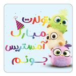 مگنت کاکتی طرح تولد آمستریس مدل پرندگان خشمگین Angry Birds کد mg55812