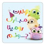 مگنت کاکتی طرح تولد رومینا مدل پرندگان خشمگین Angry Birds کد mg58515