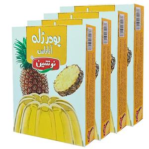 پودر ژله آناناس نوشین - 100 گرم مجموعه 4 عددی