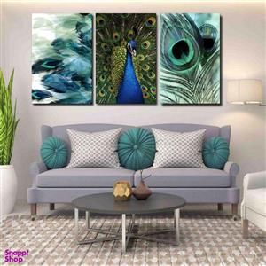 تابلو شاسی بکلیت طرح طاووس و پر طاووس مدل SH-238 مجموعه 3 عددی