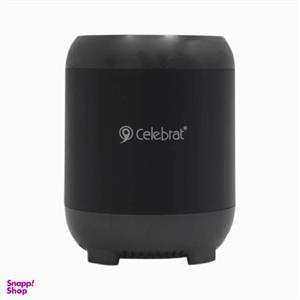 اسپیکر بلوتوثی قابل حمل سلبریت مدل YPM-FLY3