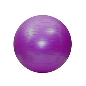توپ پیلاتس پاندا Panda Gym Ball