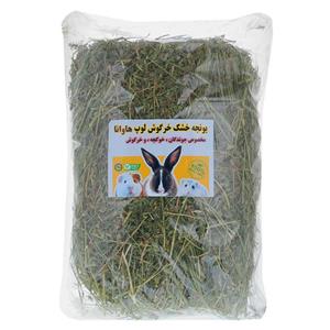 یونجه خشک خرگوش و جوندگان لوپ هاوانا کد 011 وزن 1000گرم