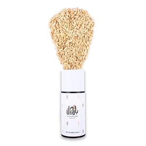 تخمه کدو مشهدی برشته - 250 گرم