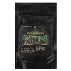 کود 105210 پروتکت نیچر مدل ROOT وزن 80 گرم